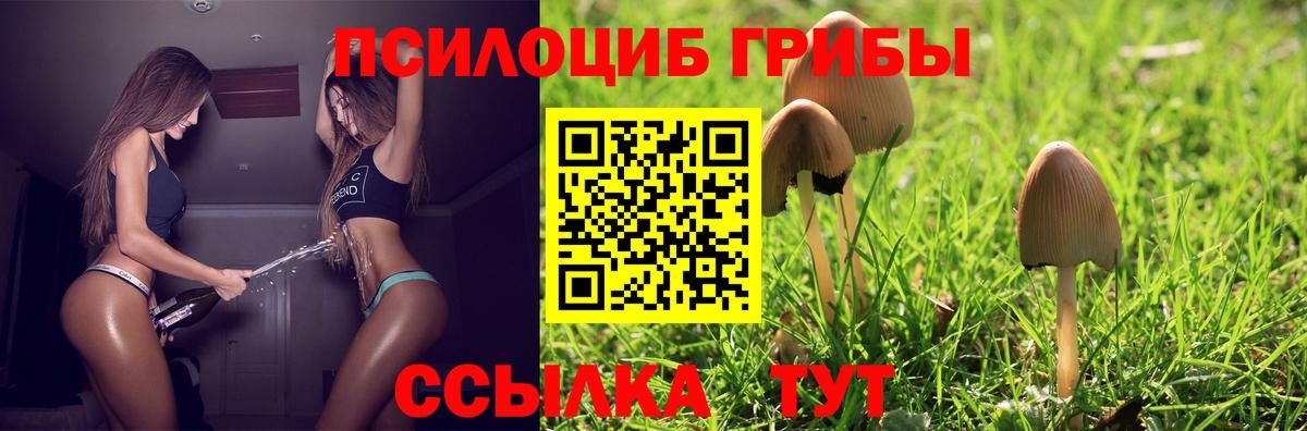 Псилоцибиновые грибы Cubensis  Псилоцибиновые грибы GOLDEN TEACHER  Курганинск  Вход с VPN 